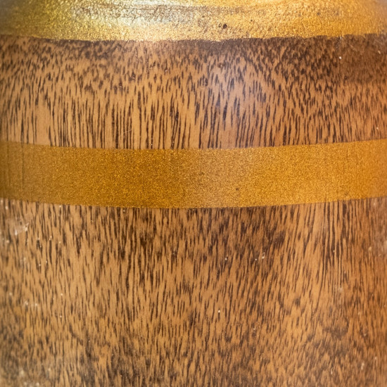 TEMPAT BUAH DAUN PANJANG 